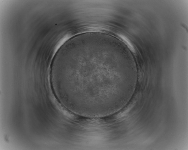 X0000097900899200803141352