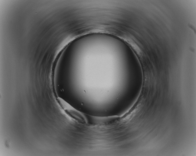 X0000097900902200803141352