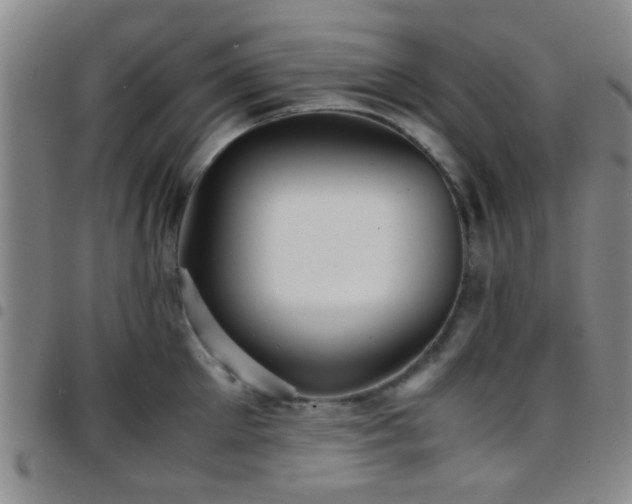 X0000097900905200803141352