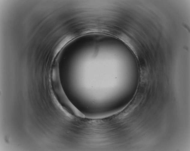 X0000097900906200803141352