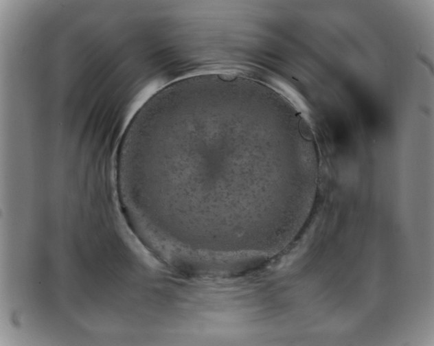 X0000097900907200803141352