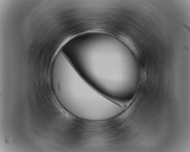 X0000097900908200803141352