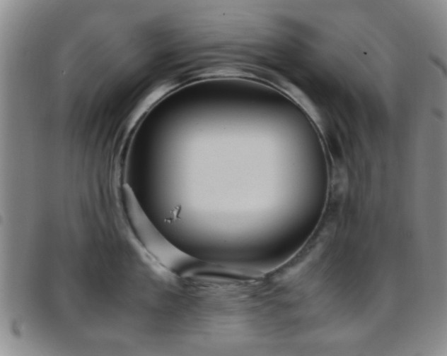 X0000097900909200803141352