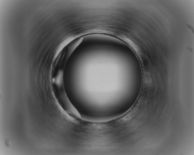 X0000097900910200803141352