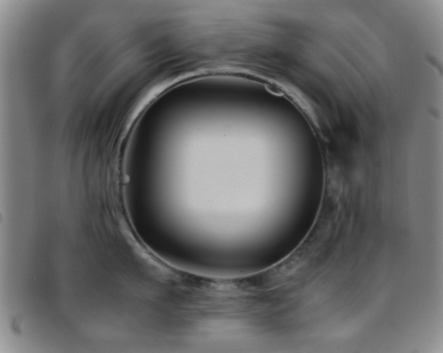 X0000097900911200803141352