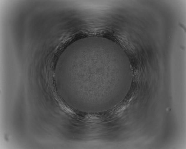 X0000097900913200803141351