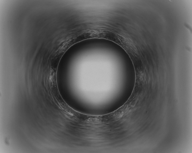 X0000097900914200803141351