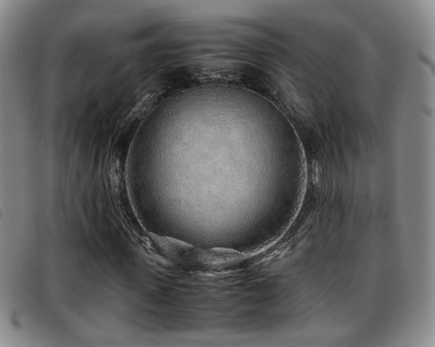 X0000097900915200803141351