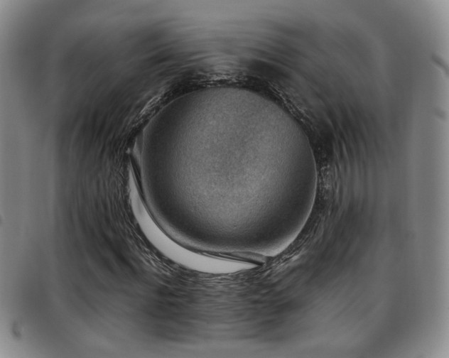 X0000097900916200803141351