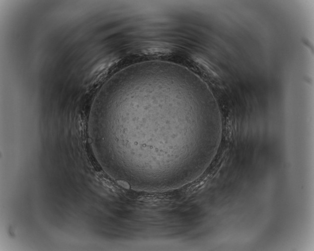 X0000097900917200803141351
