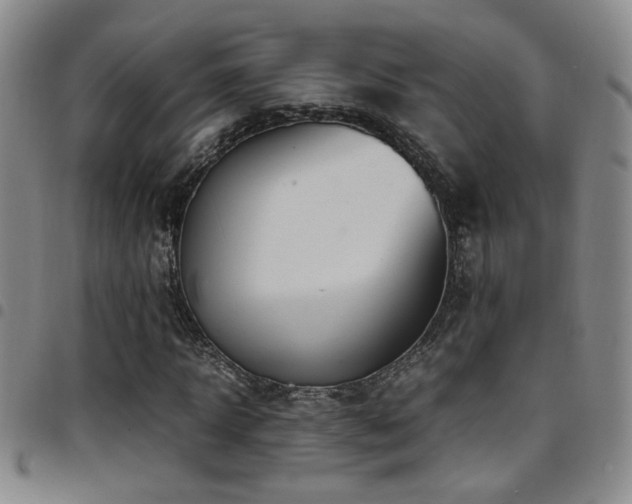 X0000097900918200803141351