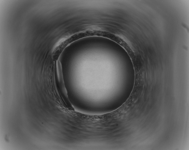 X0000097900919200803141351
