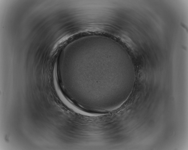 X0000097900920200803141351