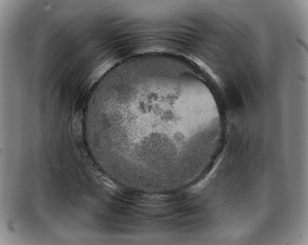 X0000097900921200803141351