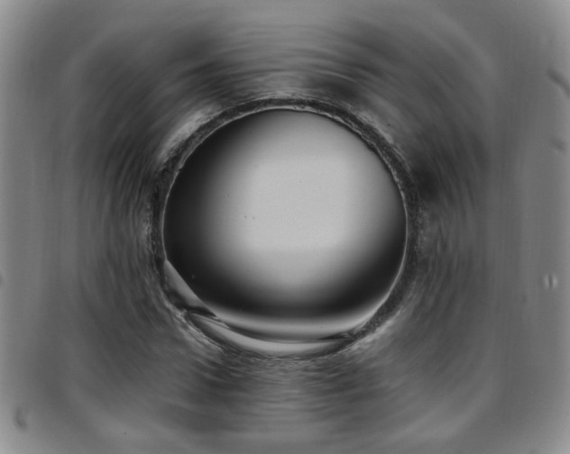 X0000097900922200803141351