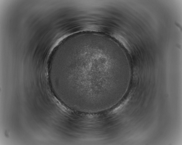 X0000097900923200803141351