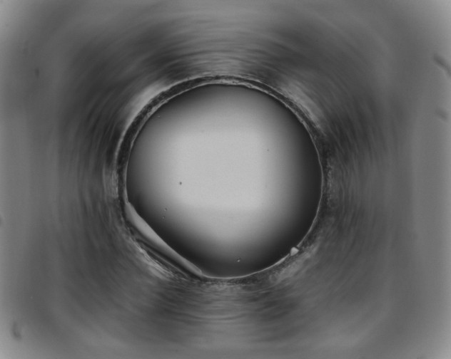 X0000097900924200803141351