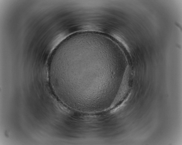 X0000097900925200803141351