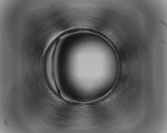 X0000097900926200803141351