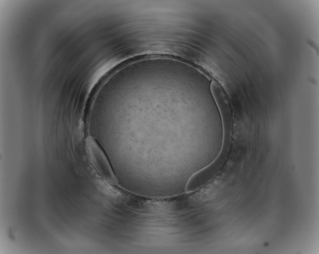 X0000097900928200803141351