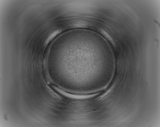 X0000097900930200803141351