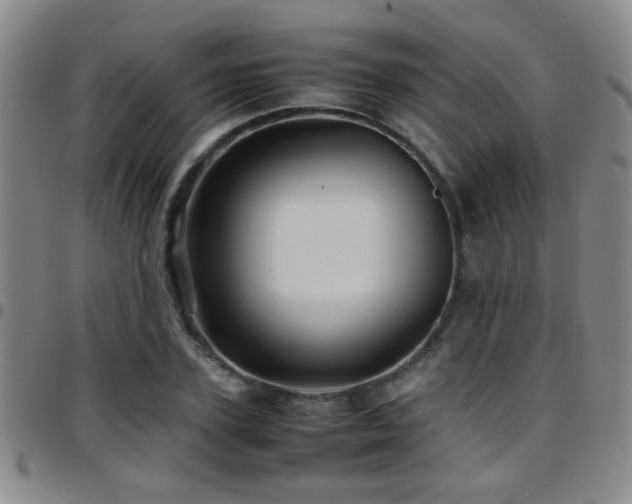 X0000097900931200803141351
