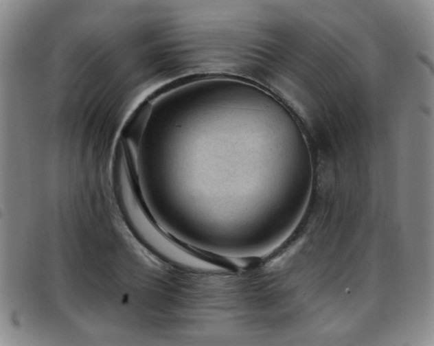 X0000097900932200803141351