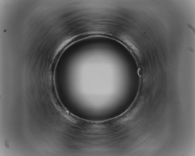 X0000097900933200803141351