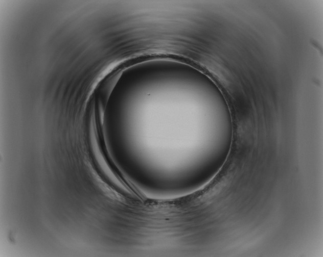 X0000097900934200803141351