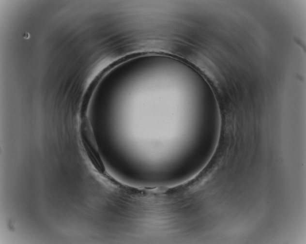 X0000097900936200803141351