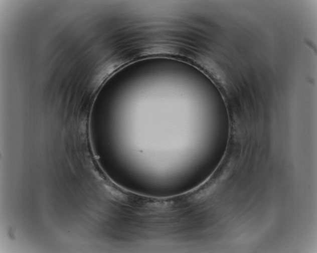 X0000097900937200803141352
