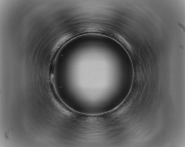 X0000097900938200803141352