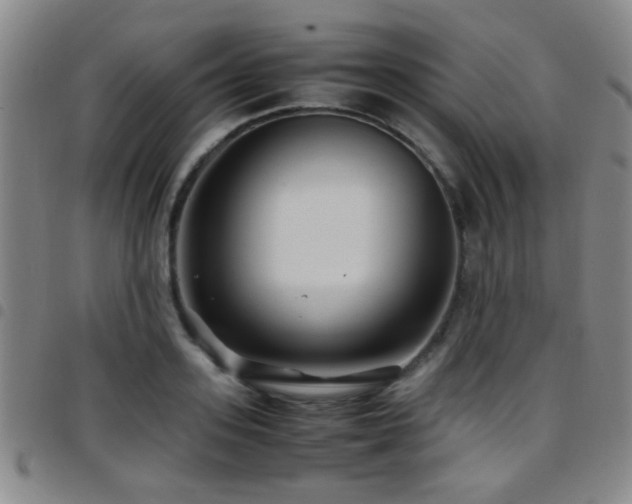 X0000097900939200803141352