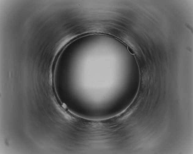 X0000097900940200803141352