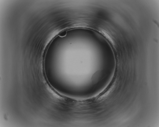 X0000097900941200803141352