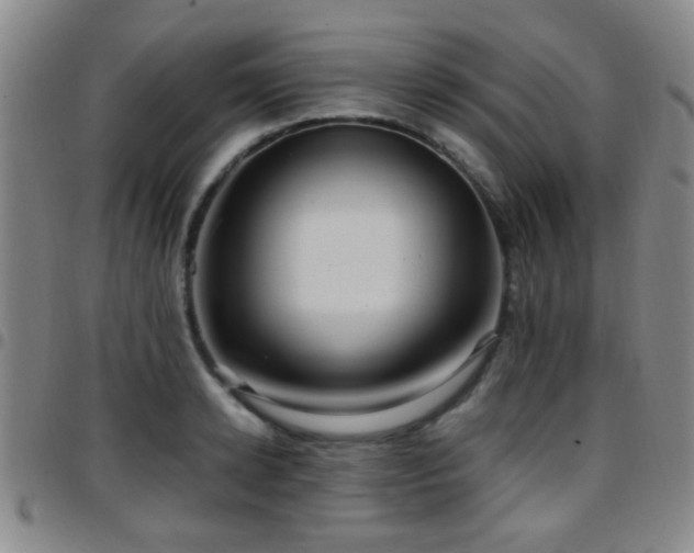 X0000097900942200803141352