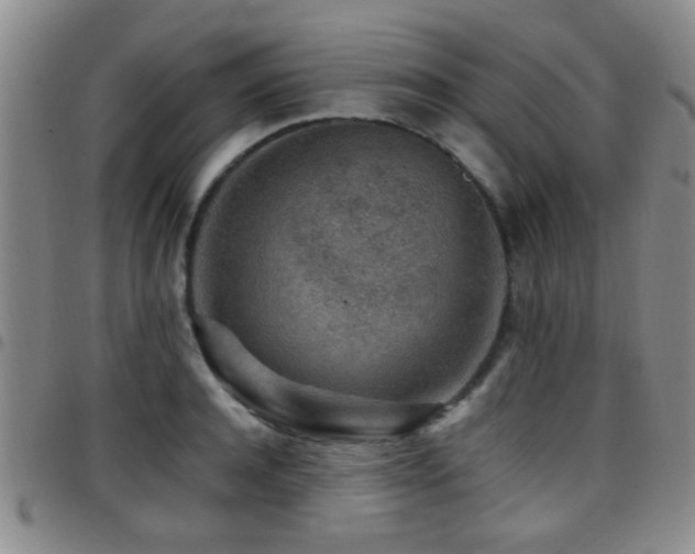 X0000097900944200803141352