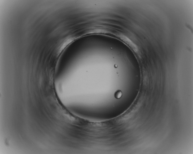 X0000097900945200803141352