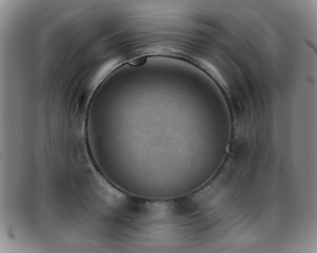 X0000097900946200803141352