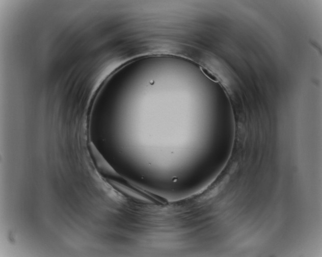 X0000097900948200803141352