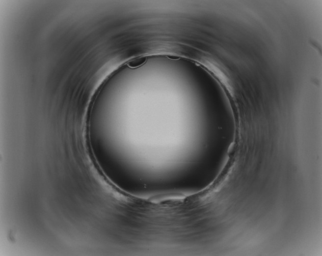 X0000097900949200803141352
