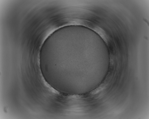 X0000097900950200803141352