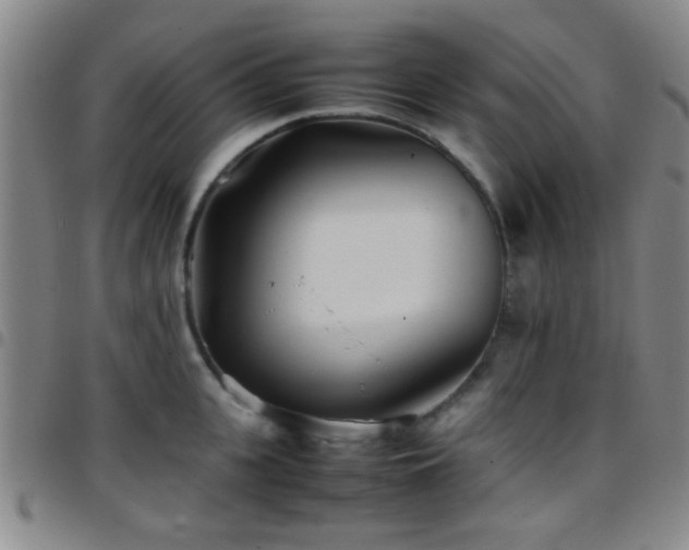 X0000097900951200803141352
