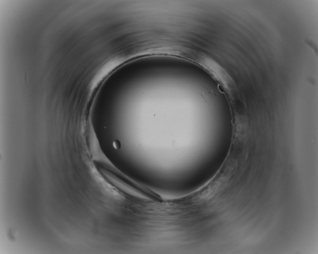 X0000097900952200803141352