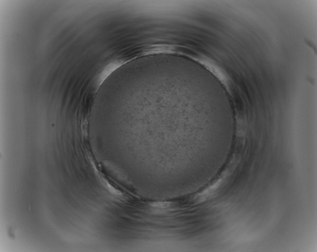 X0000097900953200803141352