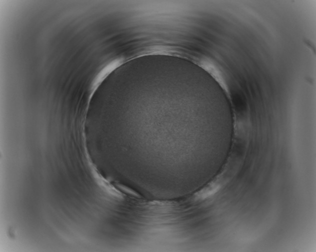 X0000097900954200803141352