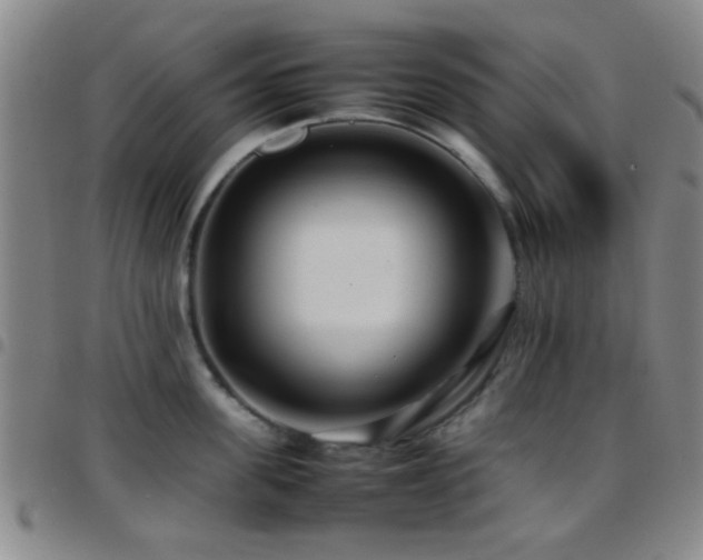 X0000097900955200803141352