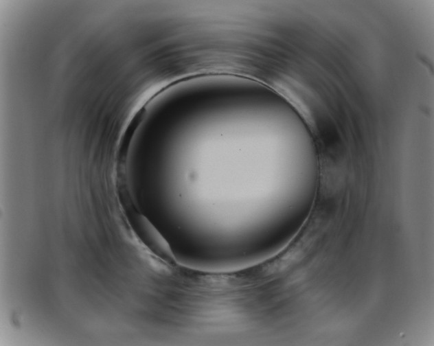 X0000097900956200803141352
