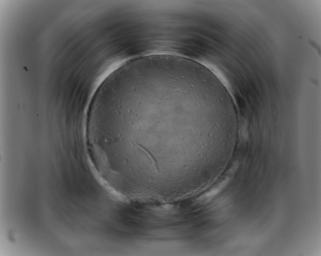 X0000097900957200803141352
