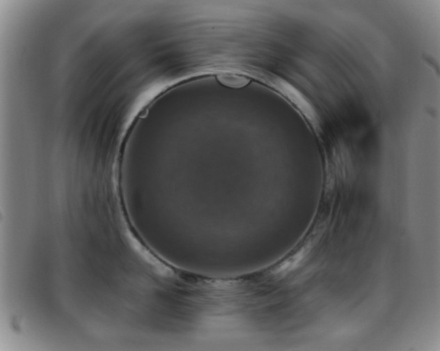 X0000097900958200803141352